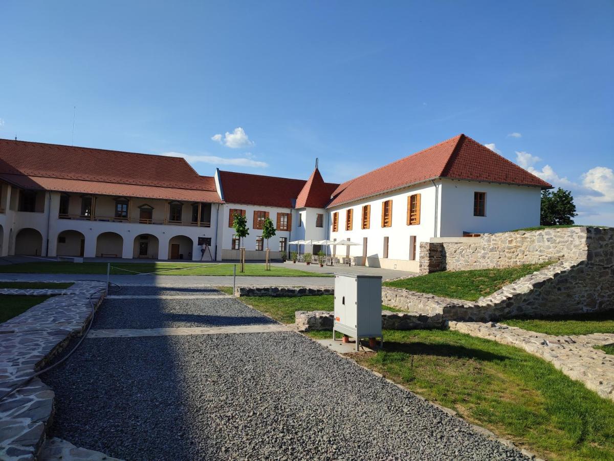 Brigaderos Hotel Brigadir Borsi Экстерьер фото